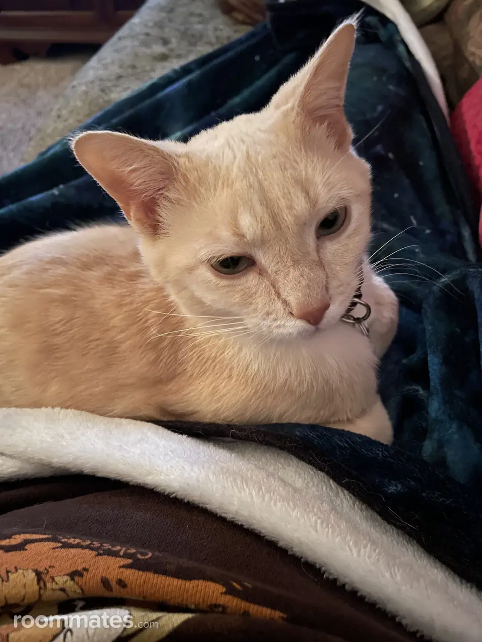 Profile photo 7 of 11