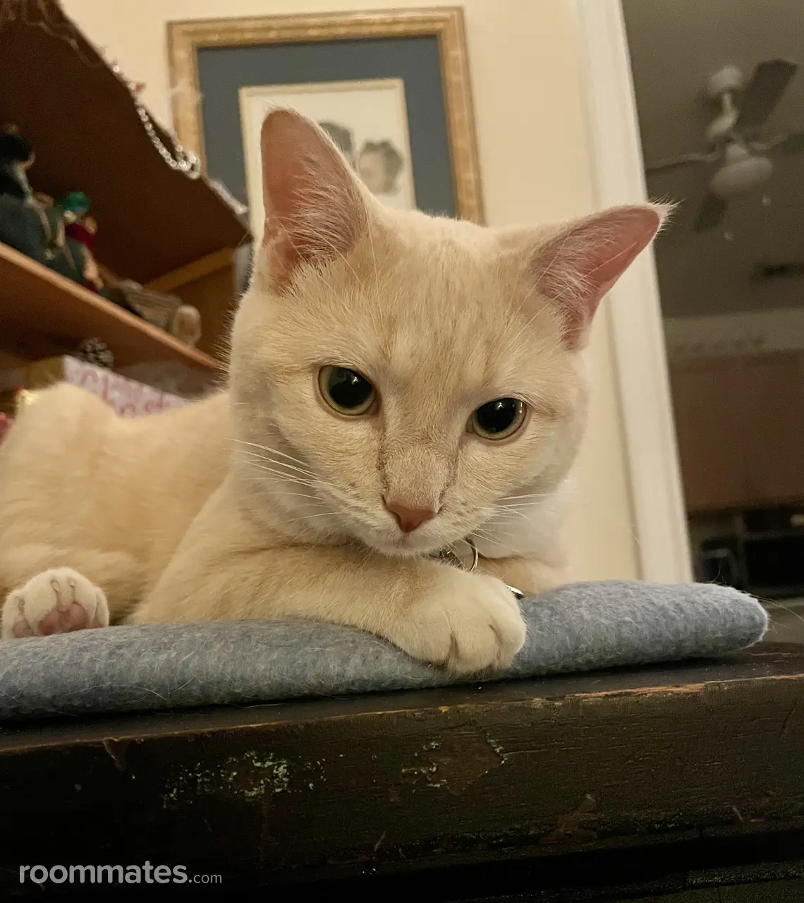 Profile photo 8 of 11