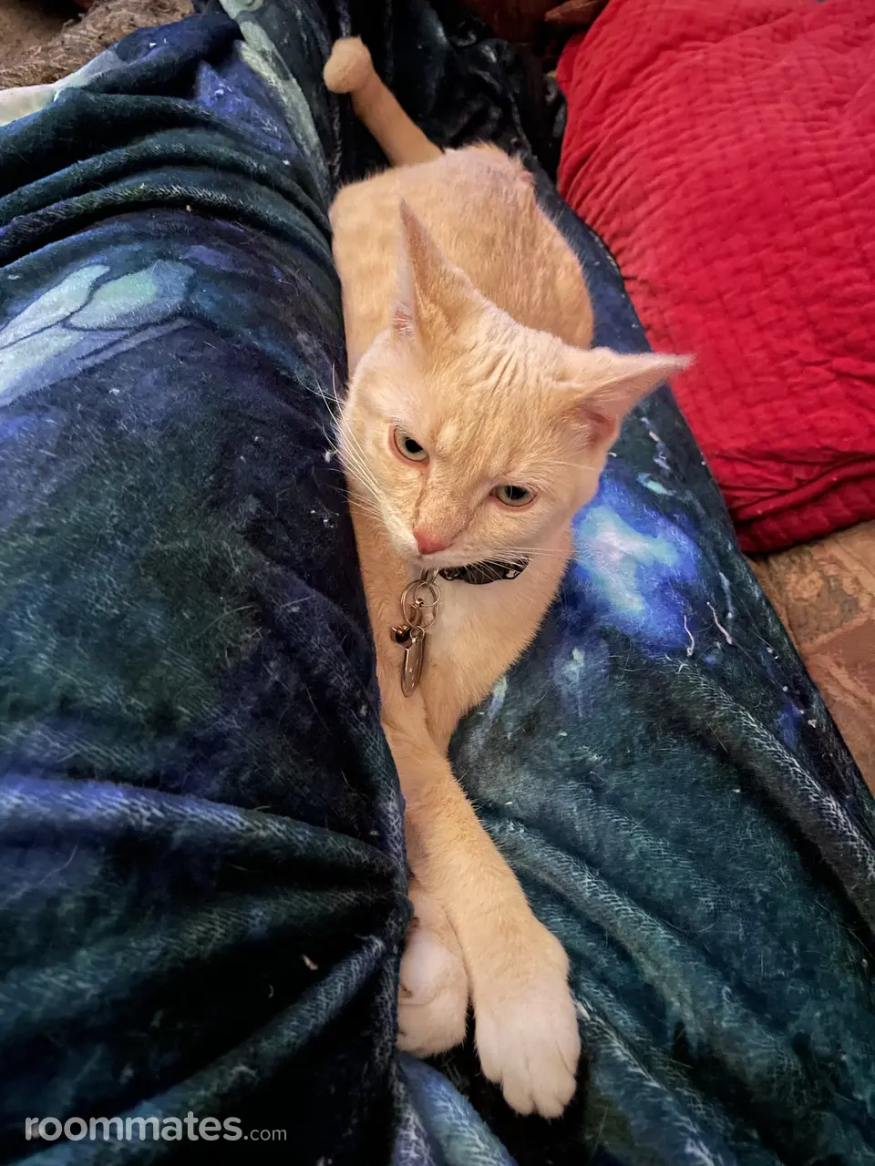 Profile photo 10 of 11