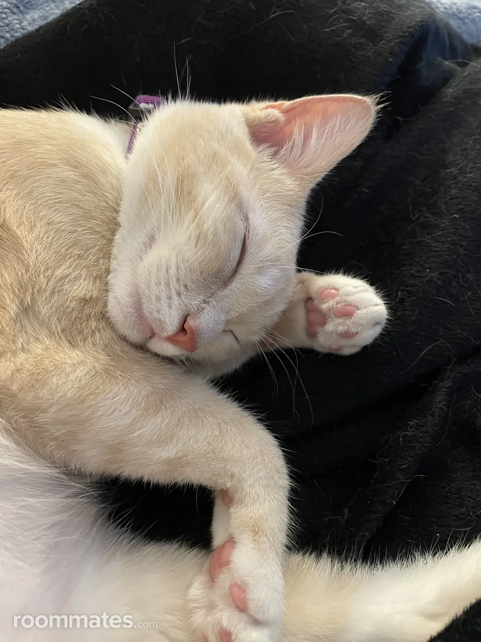 Profile photo 11 of 11