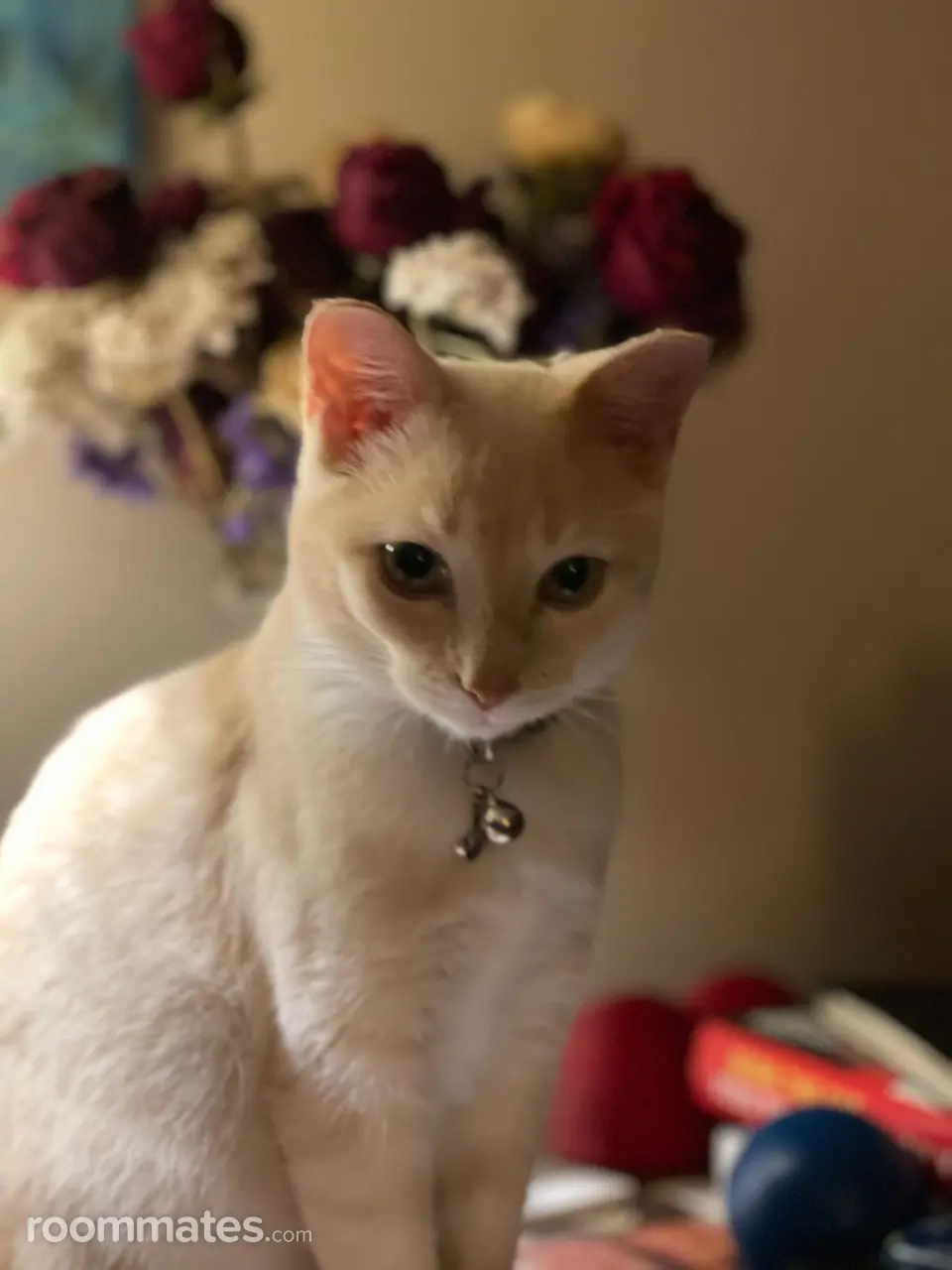 Profile photo 5 of 11