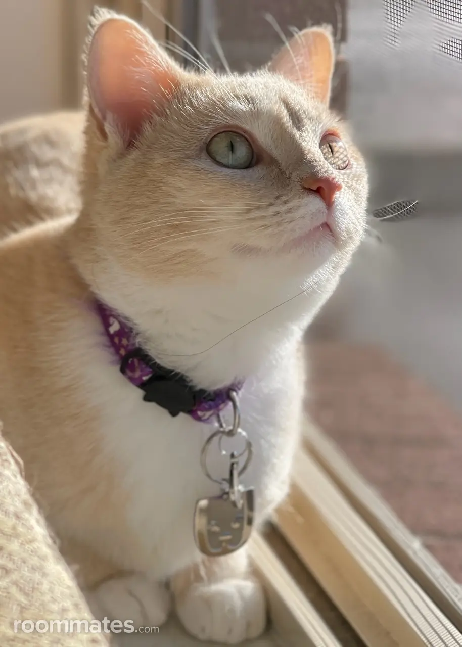 Profile photo 4 of 11