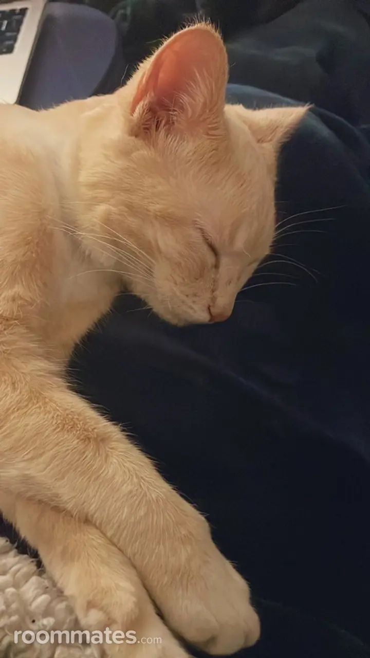 Profile photo 2 of 11