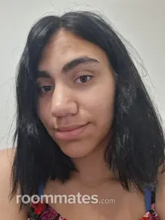 Roommate looking Hurst, TX, $1200