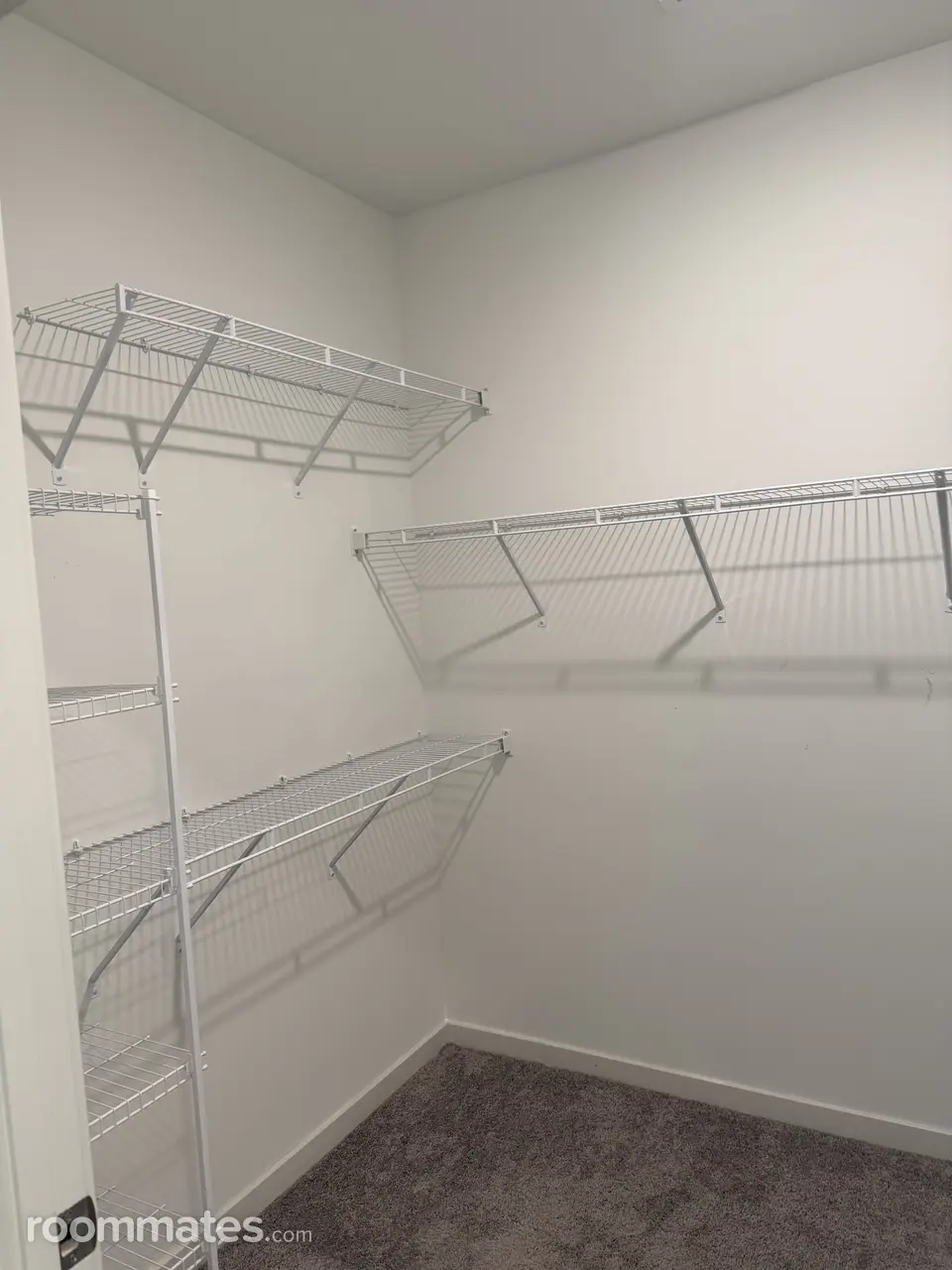 Profile photo 10 of 11