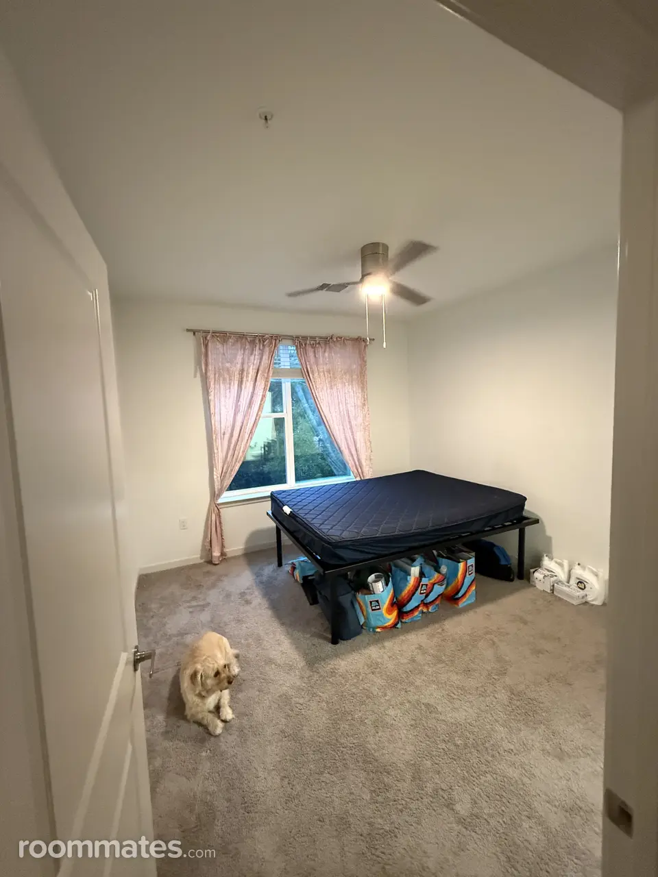 Profile photo 7 of 11