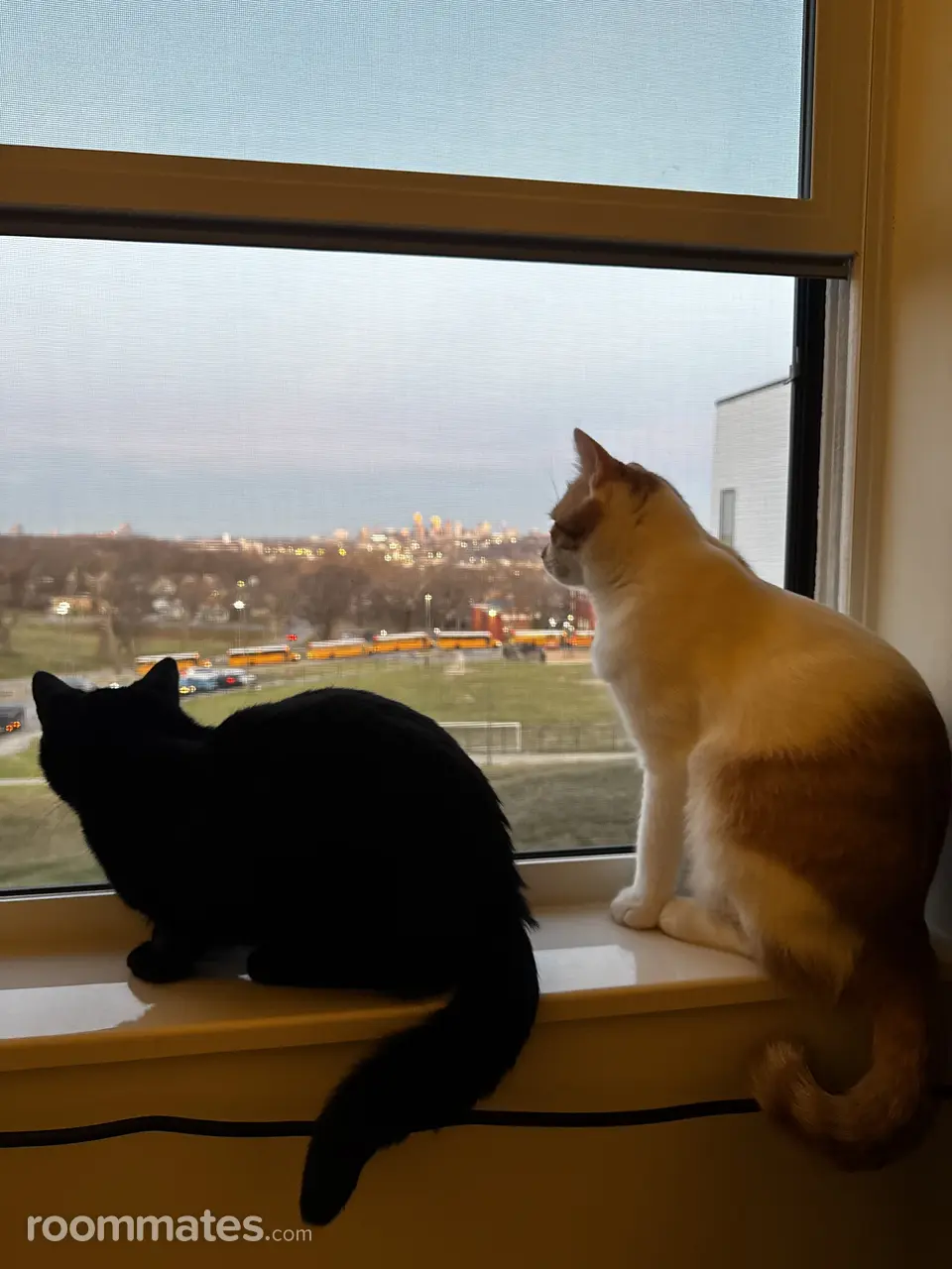 Profile photo 2 of 2