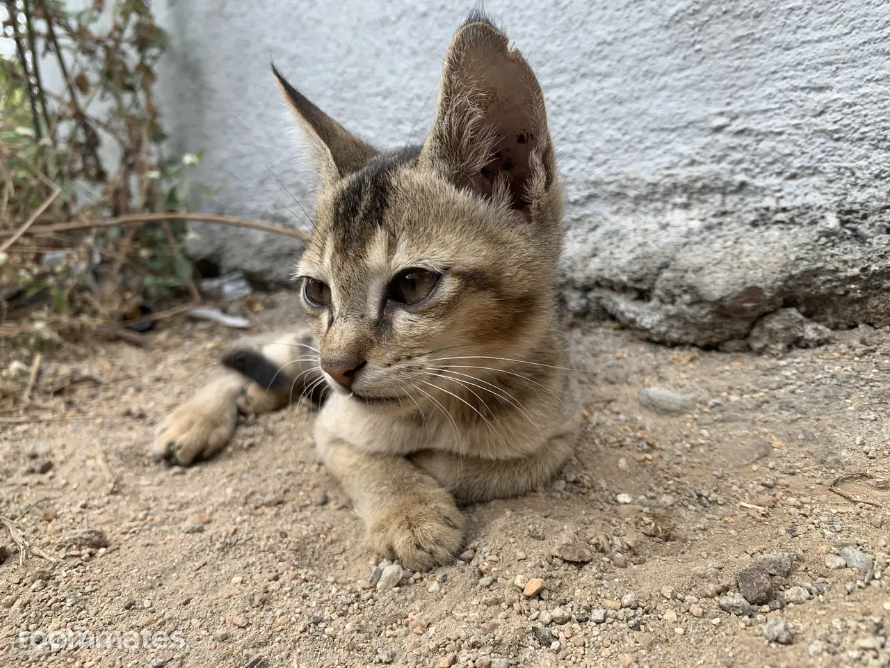 Profile photo 3 of 3