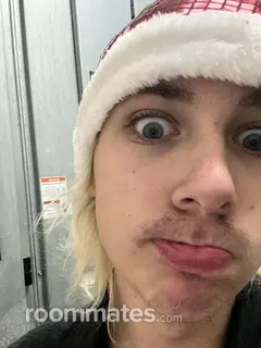 Roommate looking O Fallon, IL, $600