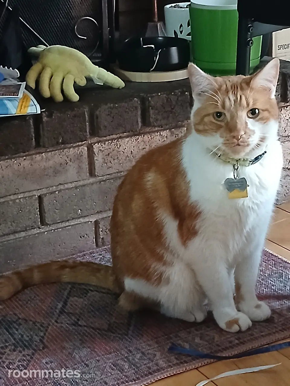 Profile photo 5 of 7