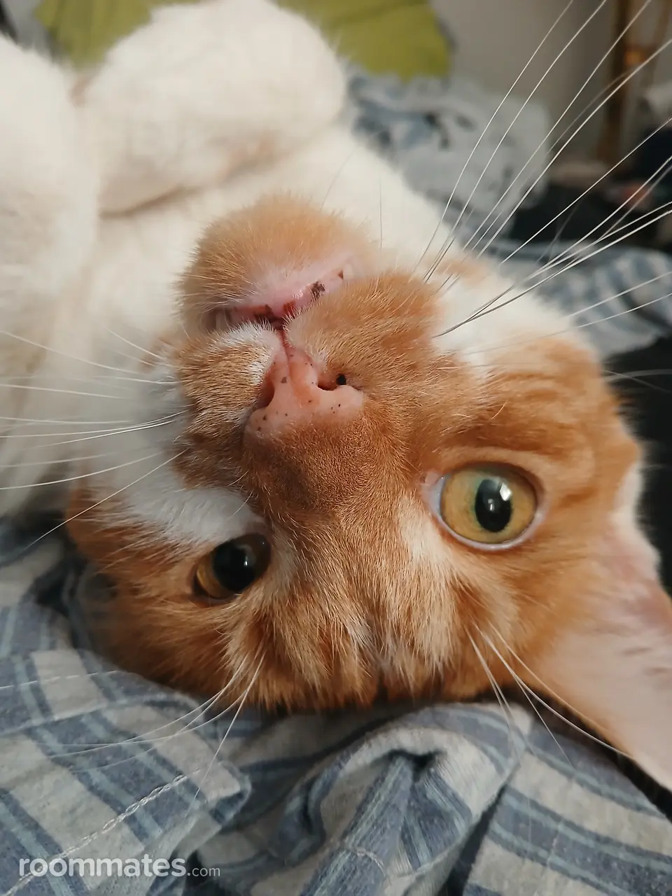 Profile photo 7 of 7