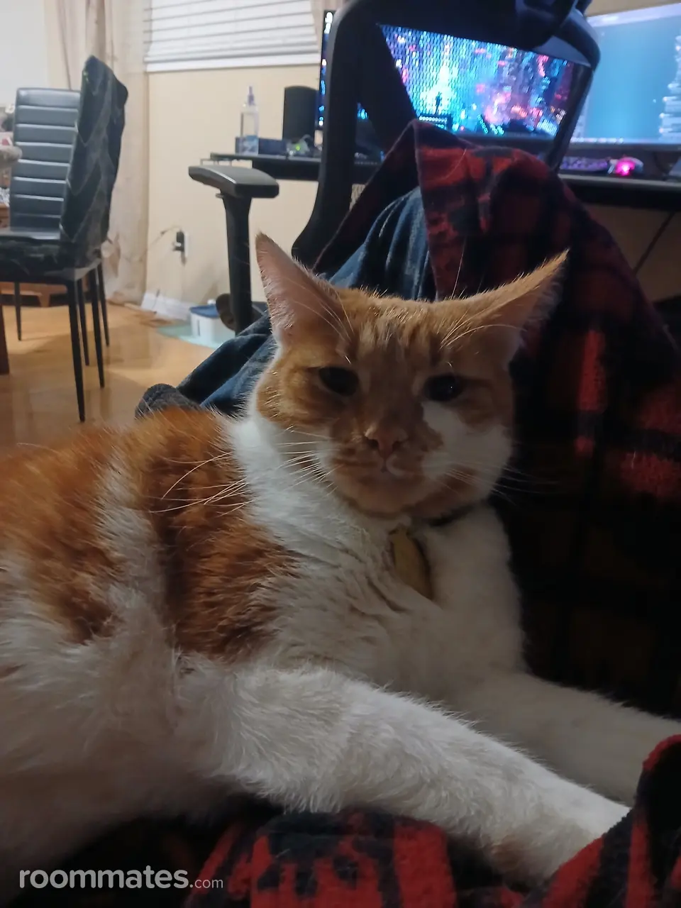 Profile photo 6 of 7