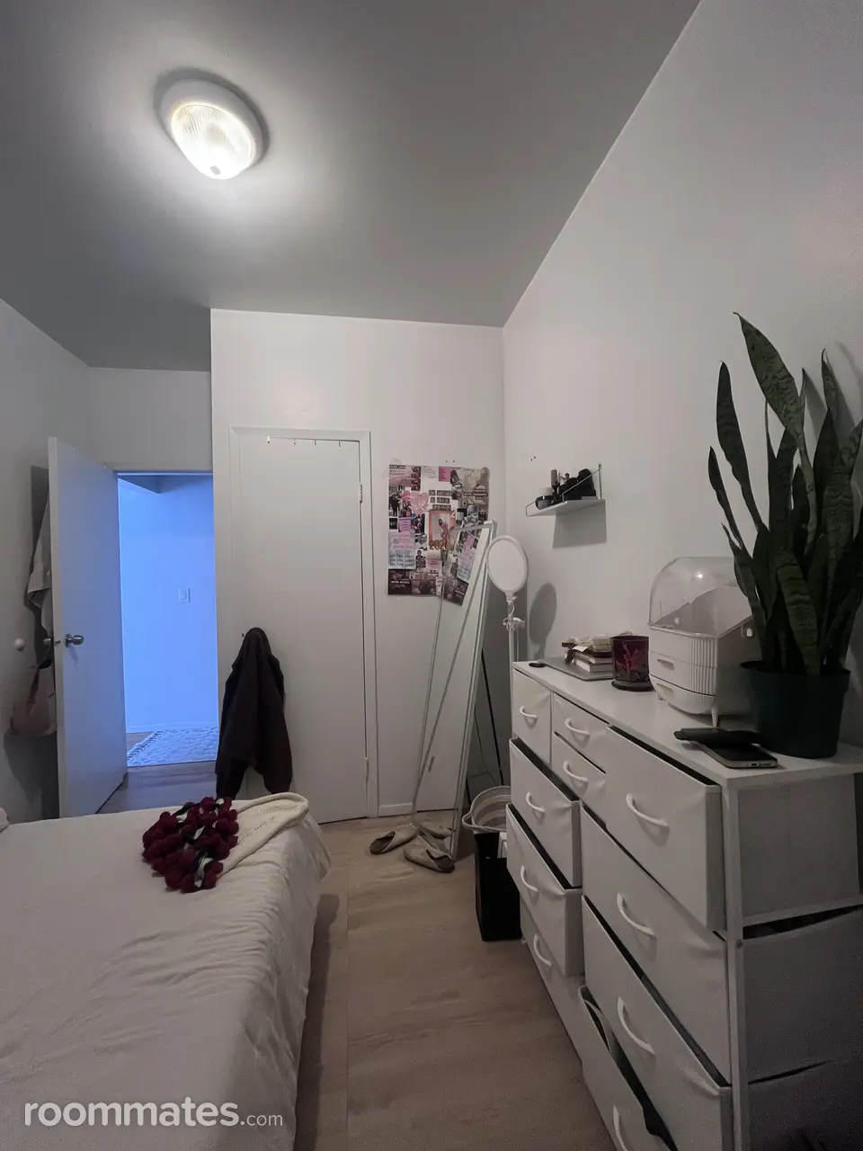 Profile photo 1 of 13