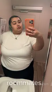 Roommate looking Albany, NY, $700