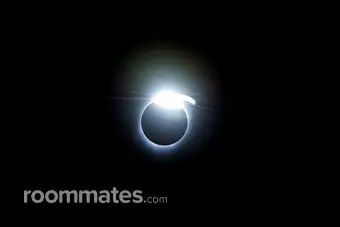 Roommate looking Brooklyn, NY, $1000