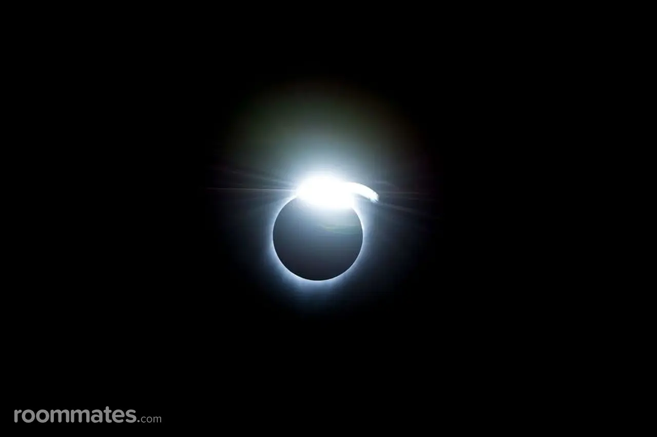 Profile photo 1 of 1