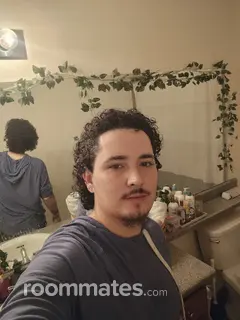 Roommate looking Albuquerque, NM, $700