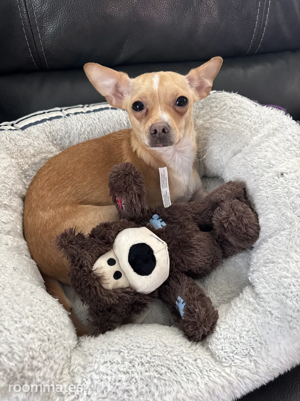 Profile photo 3 of 5