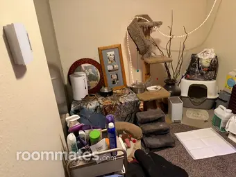 Room for rent in Lakewood, WA $750, apartment