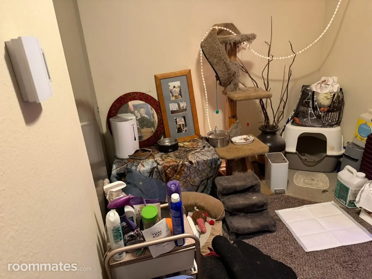 Profile photo 2 of 3