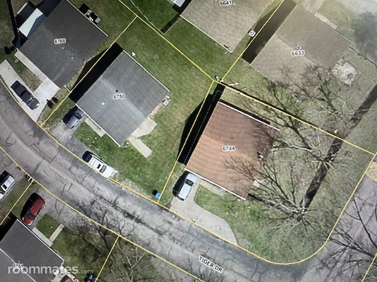 Profile photo 1 of 2