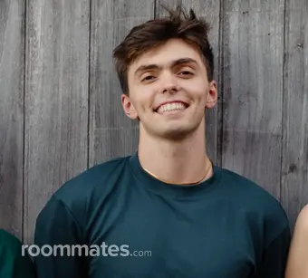 Roommate looking Boston, MA, $1100