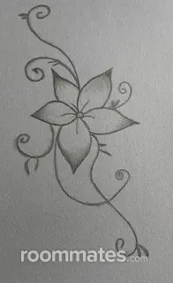 Roommate looking Portland, ME, $900