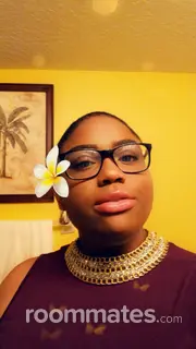 Roommate looking Miami, FL, $1300