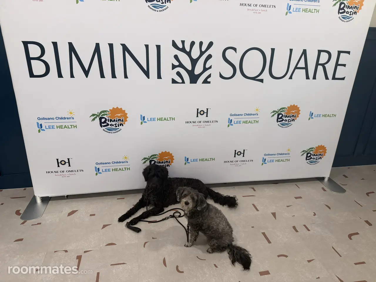 Profile photo 4 of 11