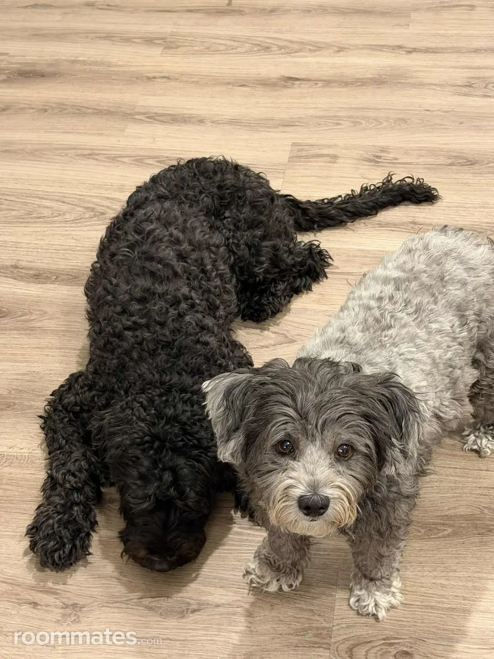 Profile photo 7 of 11