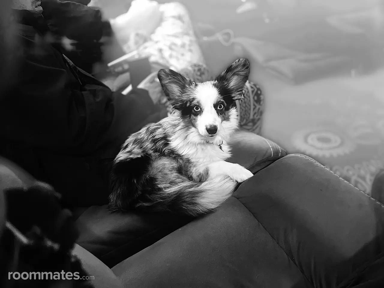 Profile photo 4 of 4