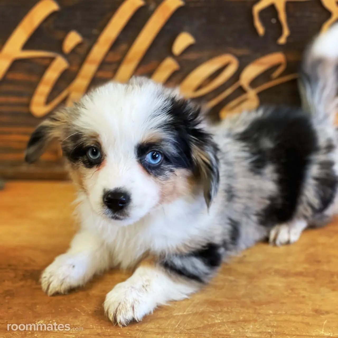 Profile photo 2 of 4