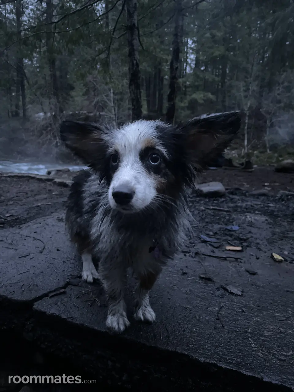 Profile photo 3 of 4