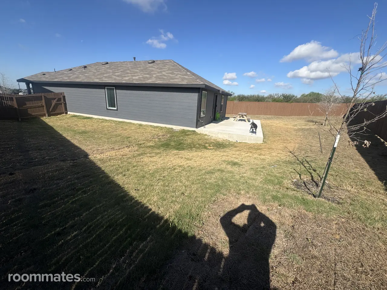 Profile photo 8 of 9