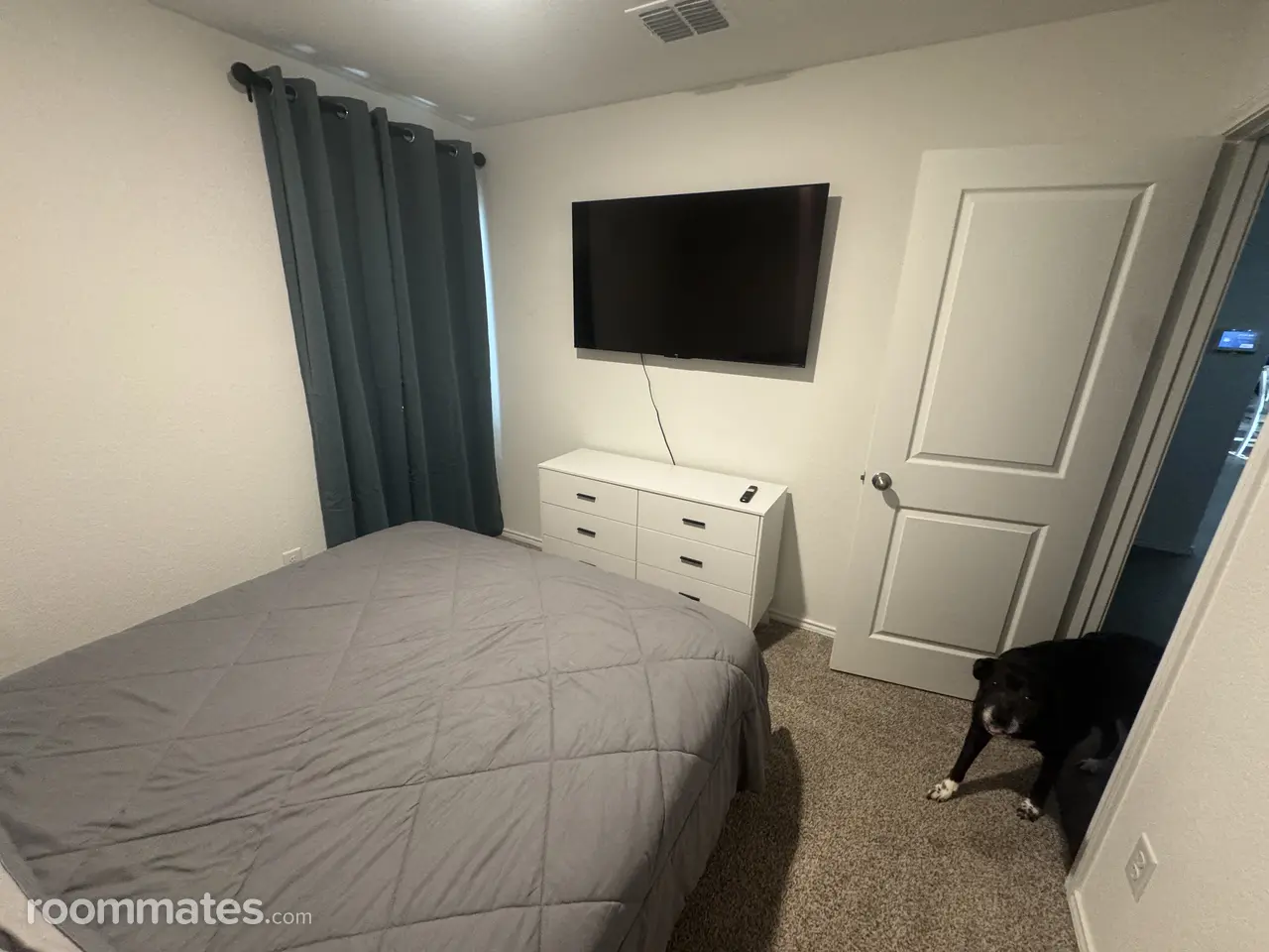 Profile photo 3 of 9