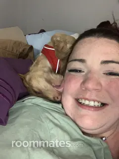 Roommate looking Wakefield, MA, $1200