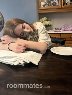 Roommate looking Grand Rapids, MI, $900