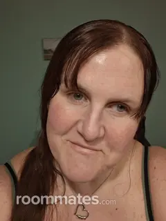 Roommate looking Rochester, NY, $1000