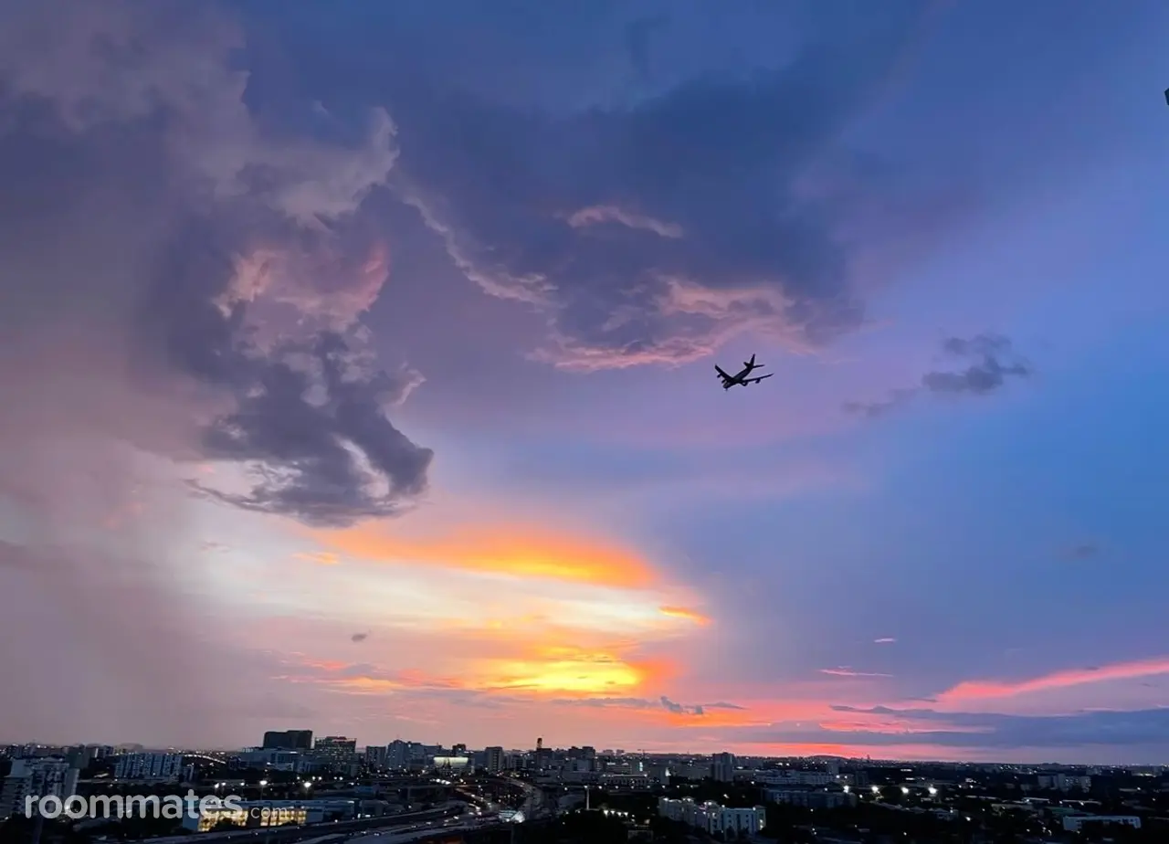 Profile photo 2 of 8