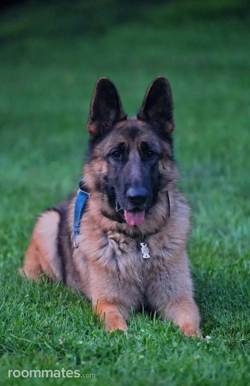 Profile photo 4 of 5