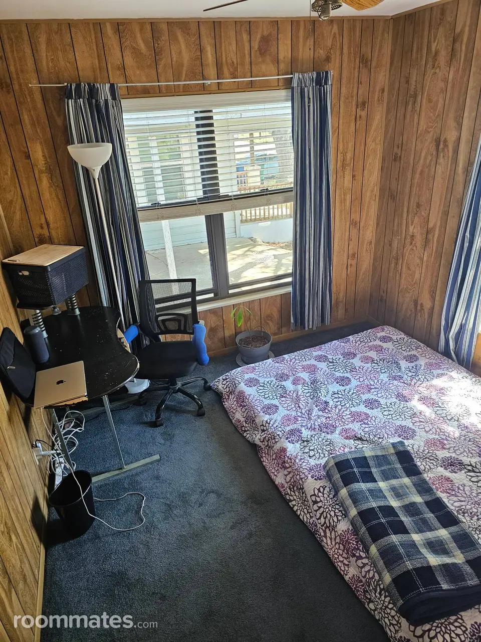 Profile photo 7 of 12