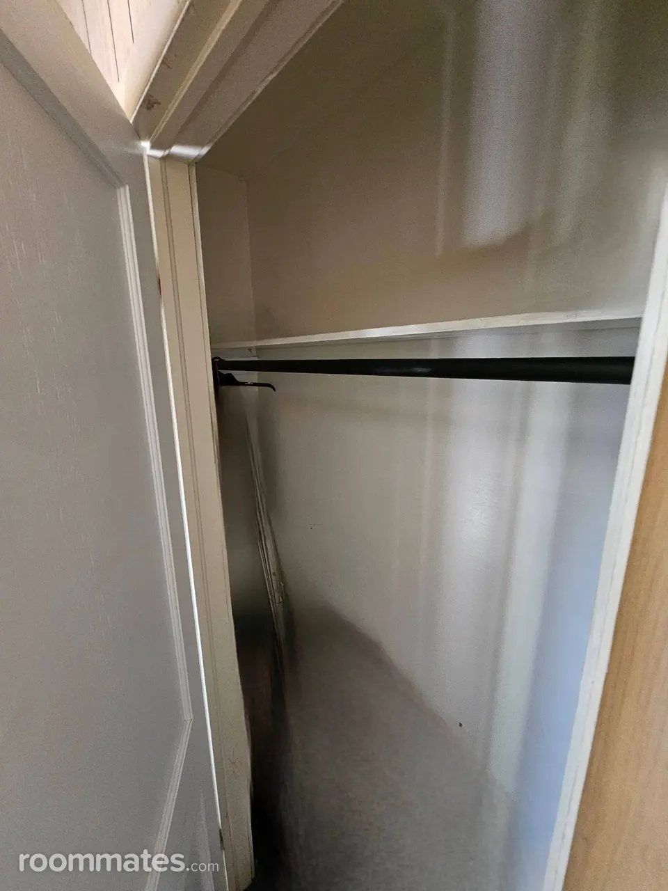 Profile photo 4 of 12