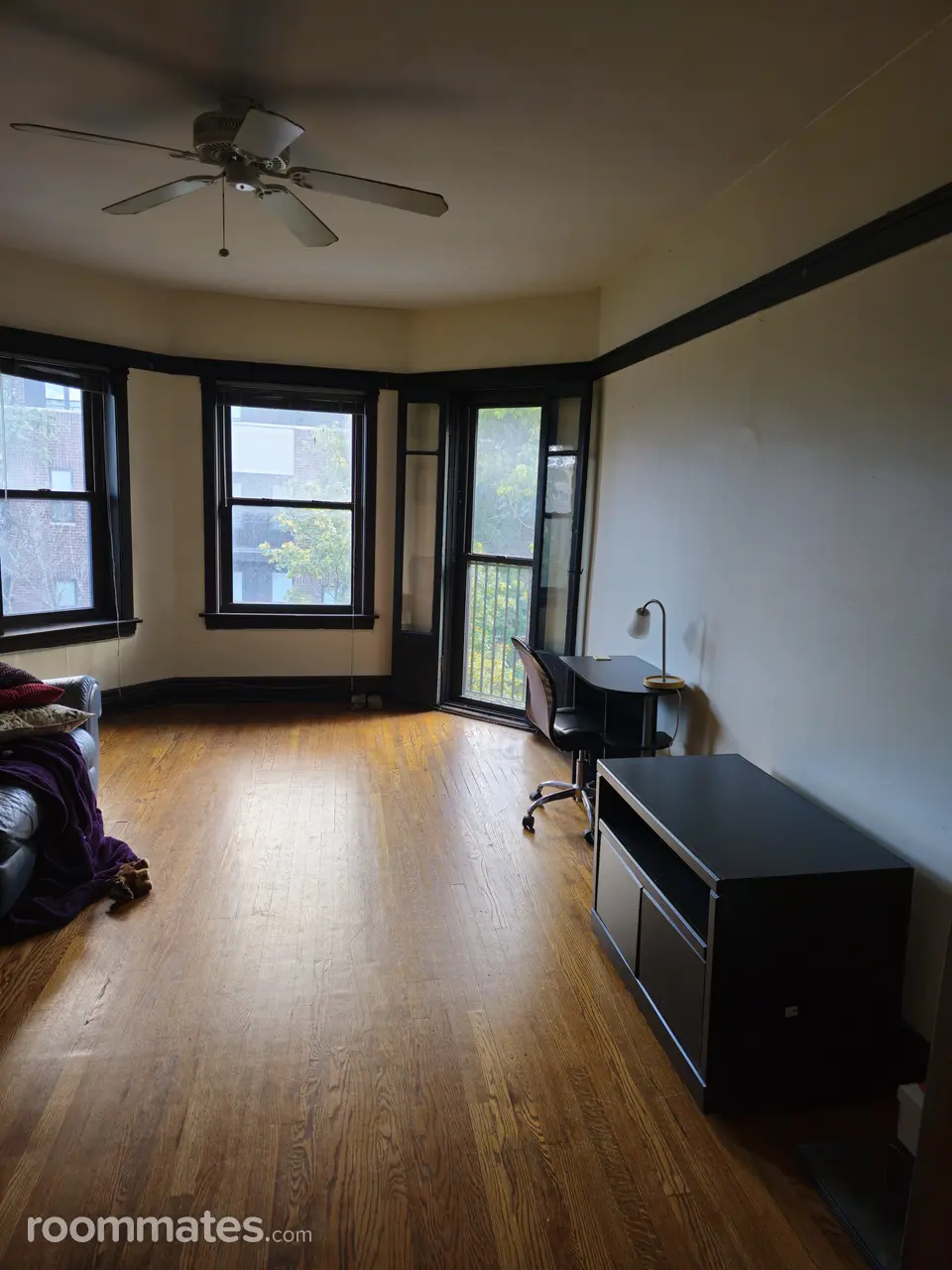 Profile photo 2 of 8