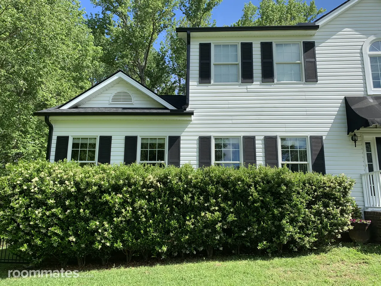 Profile photo 9 of 10