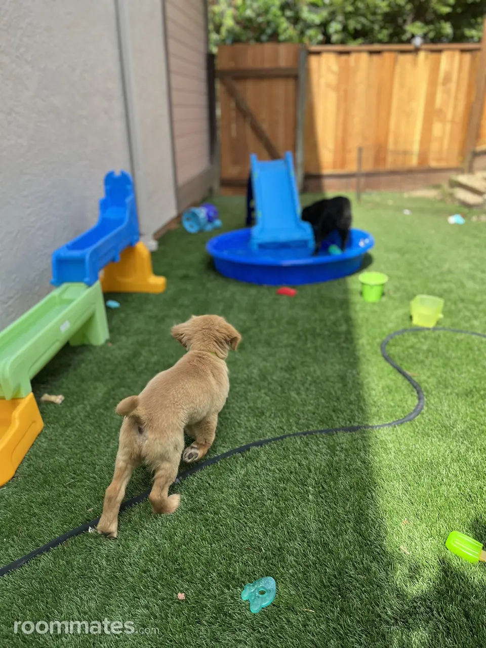 Profile photo 5 of 11