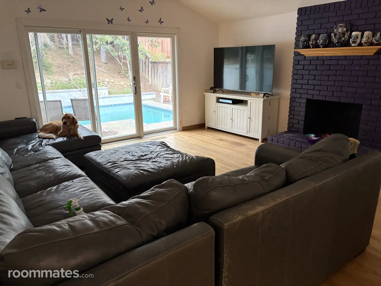 Profile photo 10 of 11