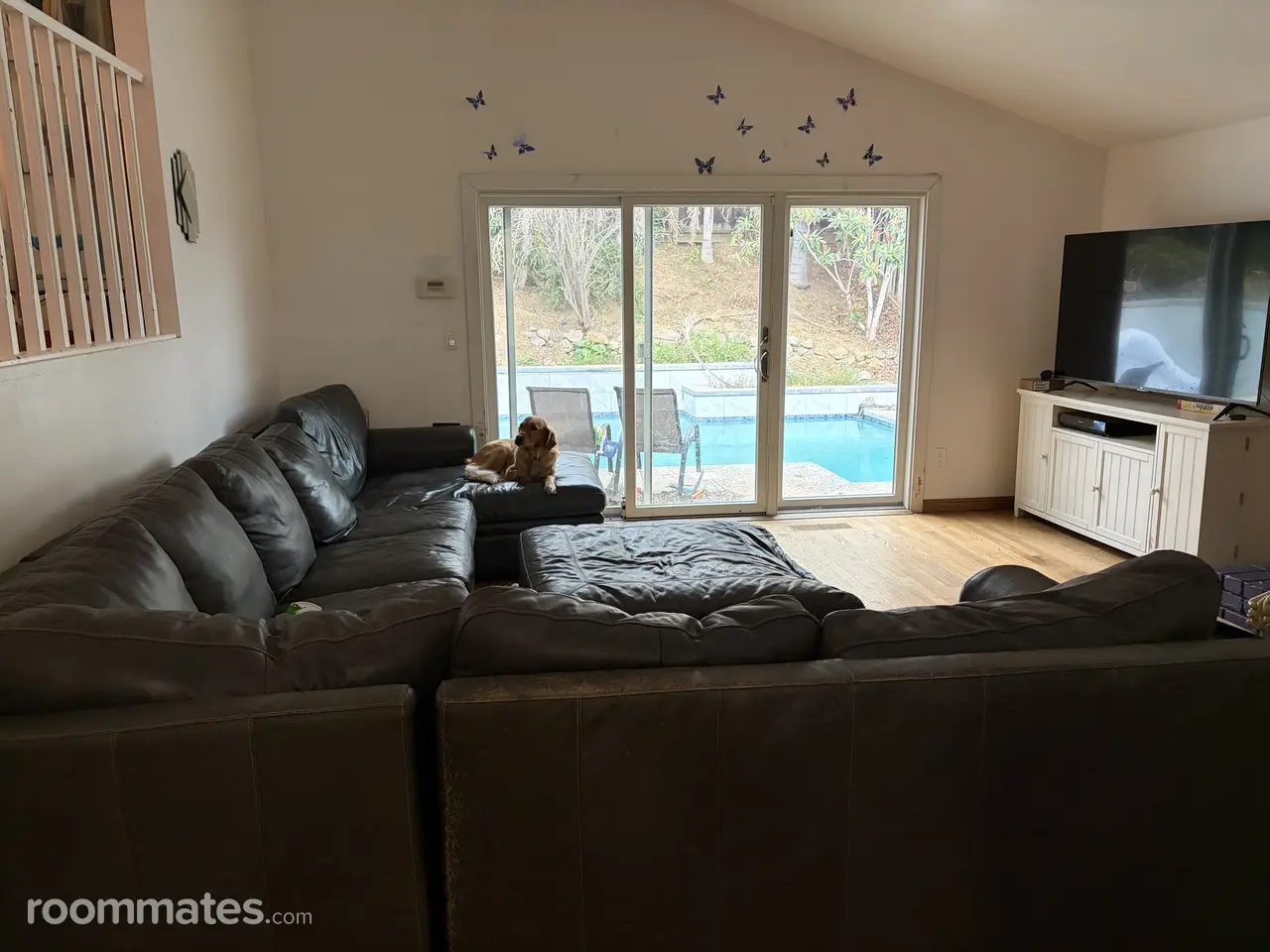 Profile photo 9 of 11