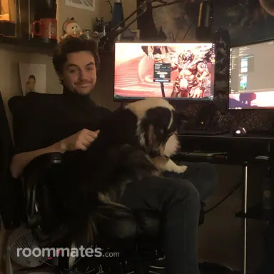 Thumbnail 4
