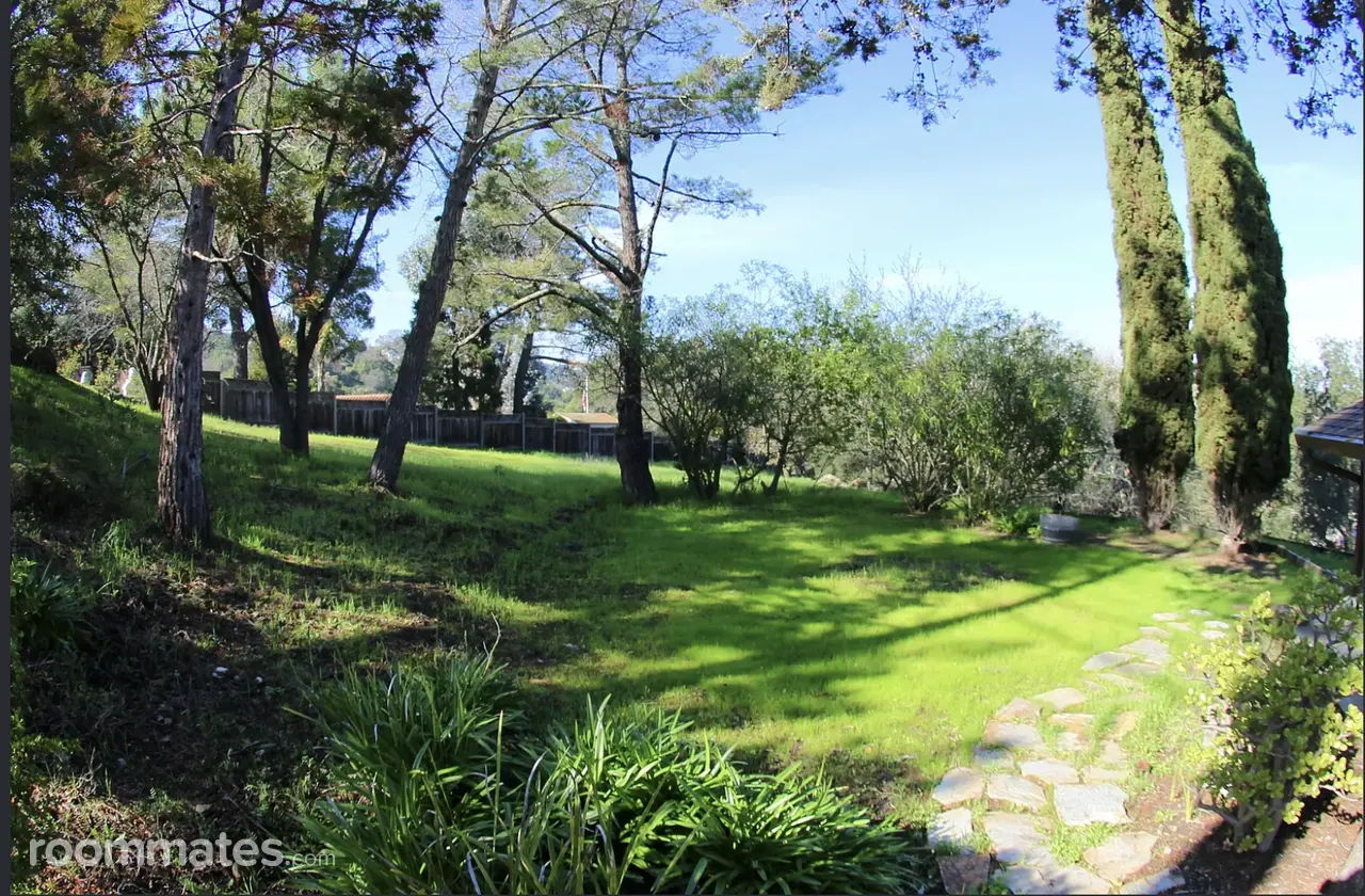 Profile photo 1 of 9