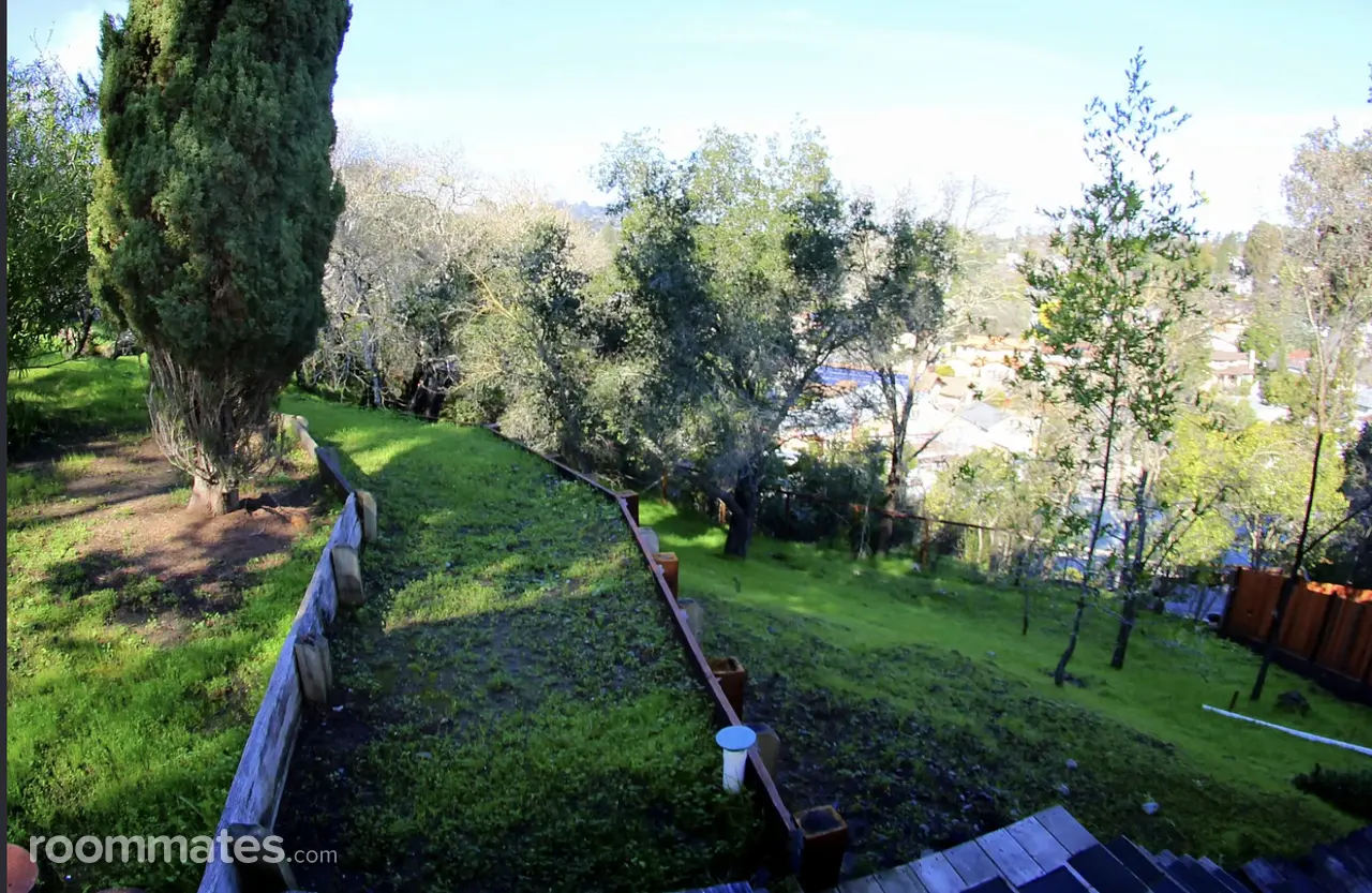 Profile photo 8 of 9